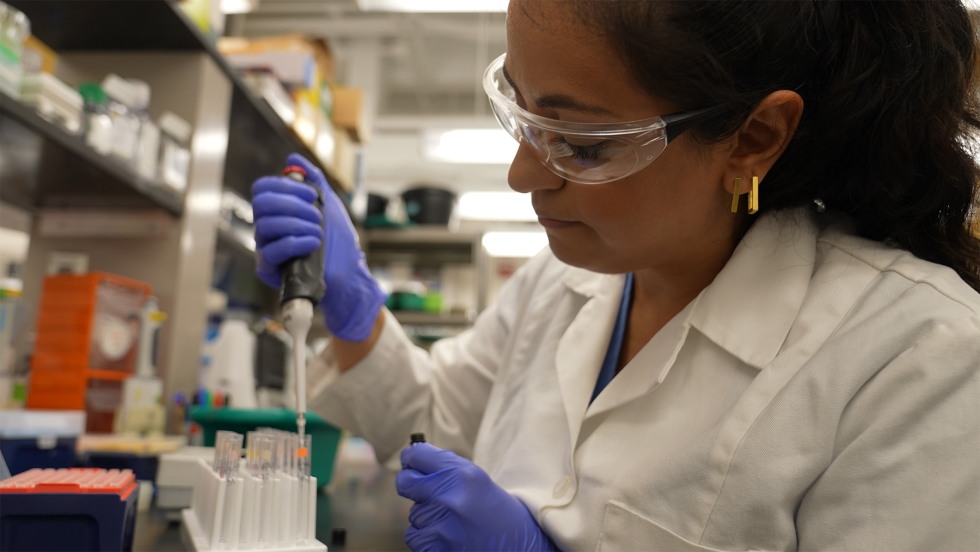 Postdoc in lab using pipette